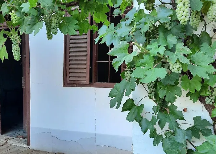 Ferienhaus Akac Haz